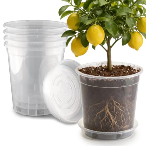 BTPLASTIK 3.5 Gallon Clear Nursery Pots with Saucers 5P, 12 Inch Round Plastic Plant Pots with Drainage Holes - size: 3.5 Gallon + Saucers 5P