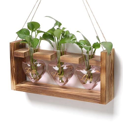Plant Terrarium Propagation Stations Hydroponics - color: Pink(Faith Hope Love)