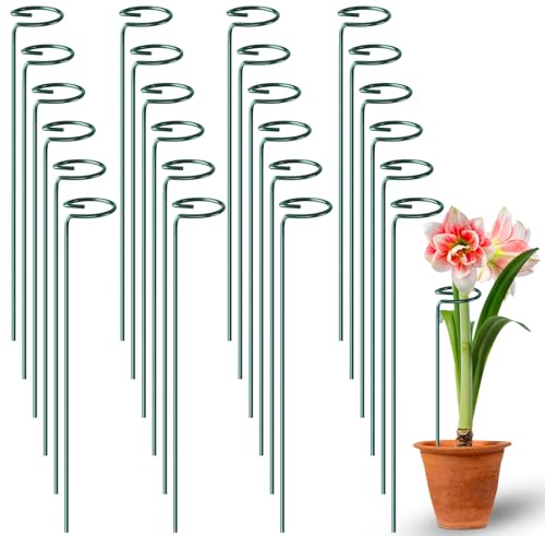 Fabulas 24 Pack Plant Support Stakes, 16 Inch Metal Garden Plant Stakes Single Stem Support Rings for Indoor Outdoor Amaryllis, Flowers Orchid, Lily, Peony, Rose, Tomato, Monstera, Narcissus