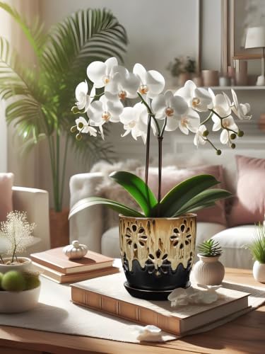 6 inch Orchid Pots with Holes Brown Black Ceramic Orchid Pot for Repotting - color: Brown&black