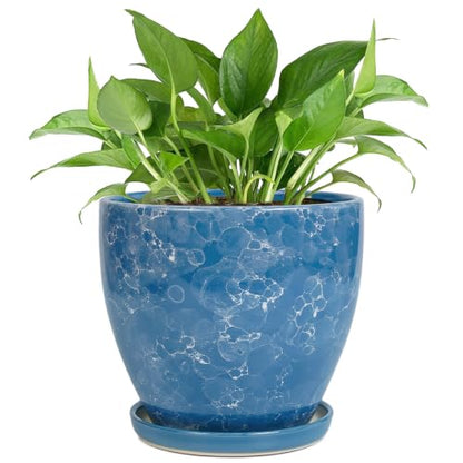 6 Inch Ceramic Plant Pot - Ceramic Planters Indoor, Blue - color: Sky Blue, size: 6 Inch