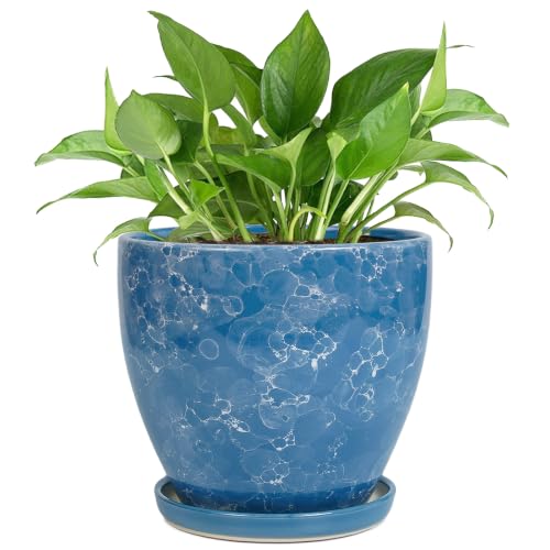 6 Inch Ceramic Plant Pot - Ceramic Planters Indoor, Blue - color: Sky Blue, size: 6 Inch