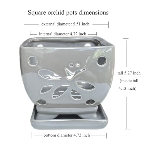 Orchid Pots with Holes Square Ceramic Orchid Planter Pots 5.5 inch (gray) - color: Gray