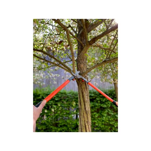 Bahco P16-60 Lopping Shears 24In
