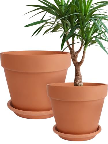 INGOFIN Terracotta Pot with Saucer 10&12 Inch - Ceramic Clay Pot for Plants with Drainage Hole, Large Terra Cotta Flower Planter with Tray for Indoor Outdoor Plants - size: 10/12 inch -2 pcs