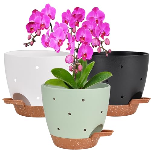 Vanslogreen 6 Inch Orchid Pots with Holes, 3 Pack Self Watering Planters for Orchids Plastic Orchid Pot Plant Flower Pots for Orchids Indoor Outdoor (Multicolor) - color: Style Round-multicolor