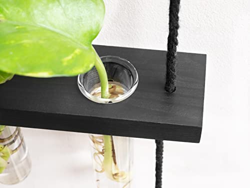 Mkono Plant Propagation Station, 3 Tier Black Wall Hanging Vase Test Tubes - color: Black, size: Medium