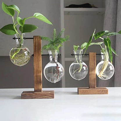 Kingbuy Hydroponic Glass Vase with Retro Wooden Stand - size: B（2 Bulb Vase）