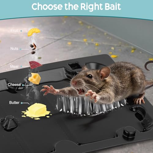 10 Pack Sticky Glue Mouse Trap Rat Trap Indoor for Home and Rats, Snake - size: 10Pack