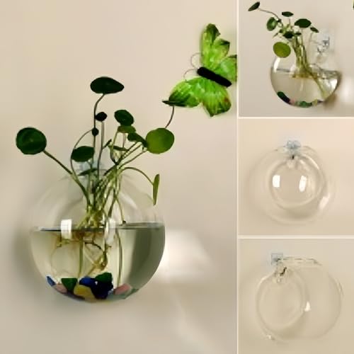 Transparent Bottle Wall Hanging Hydroponic Terrarium Multiple Sizes Vase