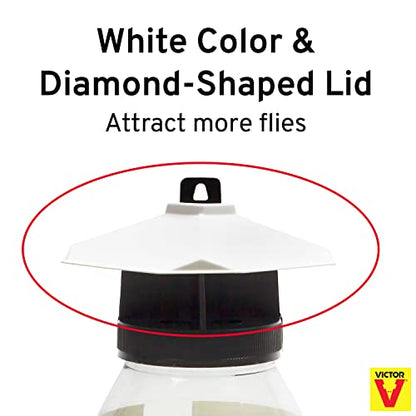 Terro T380 Outdoor Reusable Fly Magnet Fly Trap - Poison Free Trap with Bait (Pack of 2) - size: 2 Pack
