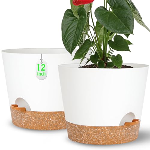 12+12Inch 2Pack Large Flower Pots for Indoor/Outdoor Plants,Self Watering Planters with Reservoir and Drainage Hole White Plastic Planting Pots Modern Home Decor Gift Idea - color: White, size: 12+12Inch