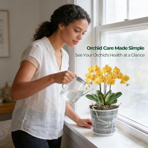 T4U Clear Orchid Pots 6.3 Inch 6 Pack, Orchid Pot with Holes Repotting - size: 6.3 Inch, 6 Pack