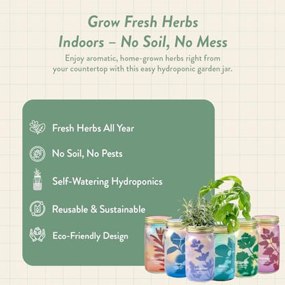 Modern Sprout Mason Jar Herb Garden Kit Indoor - color: Ultimate Herb Garden Set