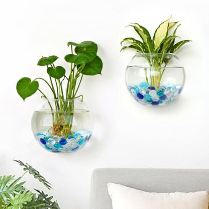 DomeStar Set of 2 Wall Vases, Wall Mounted Propagation Station - size: 2pcs