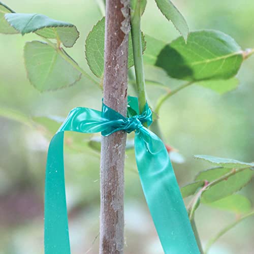 Easytle Stretch Tie Tape Roll, 1/2" 150ft Garden Tie Tape, Thick Sturdy Plant Ribbon Garden Green Vinyl Stake Gardening Tools for Indoor Outdoor Patio Plant Use (10 Pack) - size: 1,500 ft