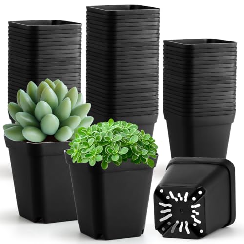 RooTrimmer 100 Pack Plant Nursery Pots 3.15 Inch, Durable Square Seedling Pots with Drainage Holes, Reusable Small Plastic Flower Pots for Seed Starting, Transplanting, Herb Garden - color: Black, size: 3.2Inch