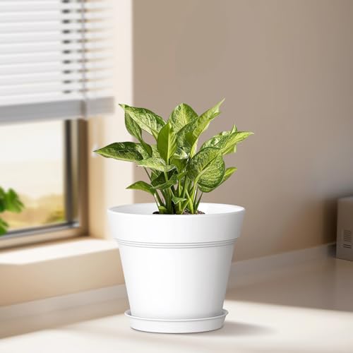 WSMKSZ 7 Inch Thick Plastic Plant Pots with Drainage Holes and Trays – 6 Pack Nursery Pots for Indoor & Outdoor House Plants, Seedling Starter Planters for Garden Flowers, White - color: White, size: 7in 6pcs