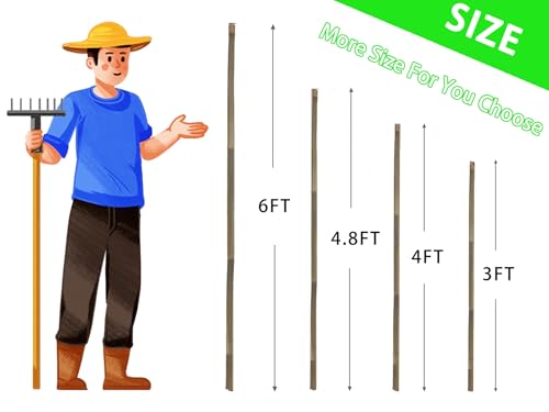 Bamboo Stakes,3Ft,65Pack,Bamboo Garden Stakes,for Tomato,Beans,Vegetable and Flowers, Potted Plants,Indoor and Outdoor Climbing Plants - size: 3Ft,65Pack