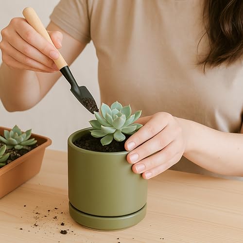 D'vine Dev 2-Pack Ceramic Pots with Saucers, Olive, 3.5 in, 94-V-A-J - color: Olive, size: 3.5 Inch