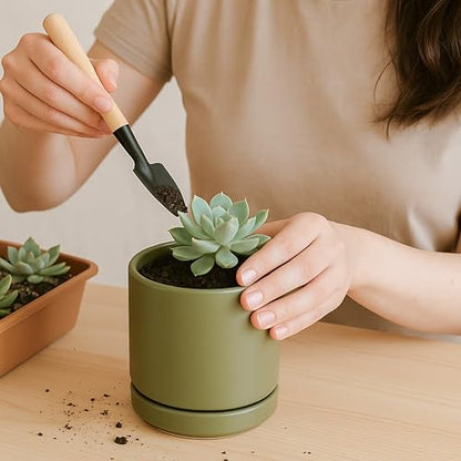 D'vine Dev 2-Pack Ceramic Pots with Saucers, Olive, 3.5 in, 94-V-A-J - color: Olive, size: 3.5 Inch