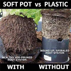 Soft POTS (10 Gallon) Best Fabric Aeration Garden POTS from Maui Mike's. Thicker Fabric and Sewn Handles for Easy Moving. Grow Bigger and Faster Tomatoes,Veggies and Herbs in Soft POTS.