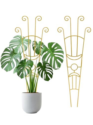 2Pcs Large Metal Trellis for Potted Plants Indoor, 33 Inch Tall Expandable Garden Trellis for Climbing Plants, Houseplant Support for Monstera, Ivy, Hoya Flower Outdoor (Gold) - color: Golden