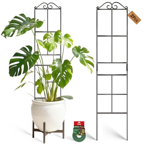31.8'' Stackable Plant Trellis Indoor, Metal Trellis for Climbing Plants Indoor, House Plant Support with Soft Ties for Monstera Hoya Pothos, 2P - size: 31.8in/2p
