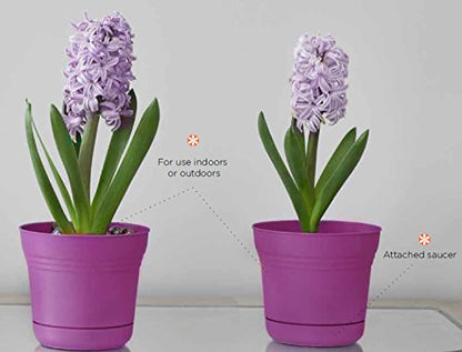 Bloem Saturn Planter with Saucer, 7", Amaranth (SP0722) - color: Amaranth, size: 7"