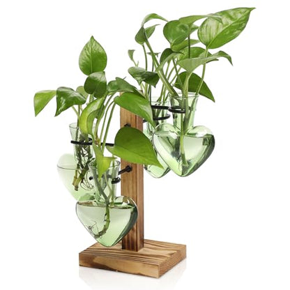 Plant Terrarium Propagation Stations with Wooden Stand - color: Green