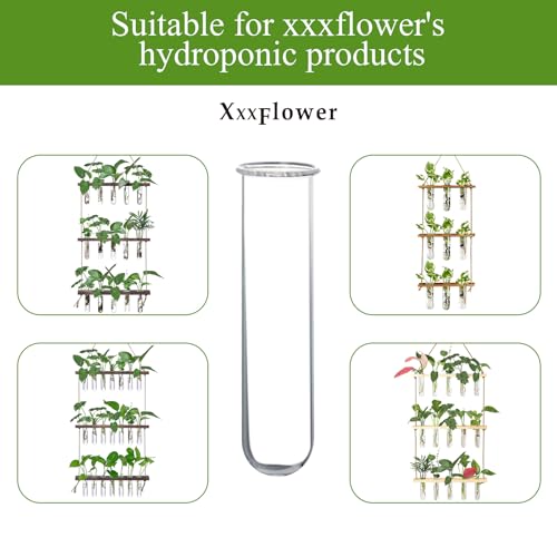 XXXFLOWER Glass Propagation Stations Accessories 4 Tube Vases - size: Size B