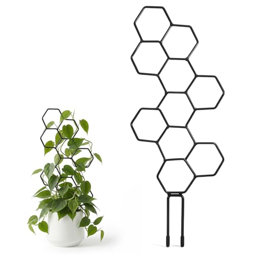 Small Trellis for Potted Plants, 14 Inch Indoor Trellis for Climbing Plants Honeycomb Shape Metal Plant Trellis for Pots Plant Climbing Support for Flower Hoya Pothos Houseplants(Black) - color: Black