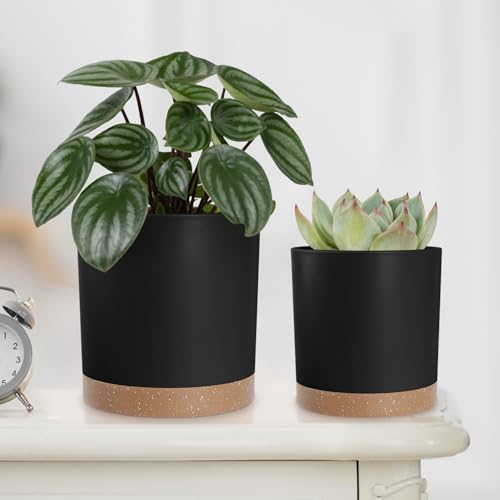 YNNICO Plant Pots with Drainage Holes and Saucers – 7, 6.5, 6, 5, 4 Inch Plastic Planters for Indoor Outdoor Plants, Modern Matte Finish, Lightweight & Durable（Black） - color: Black
