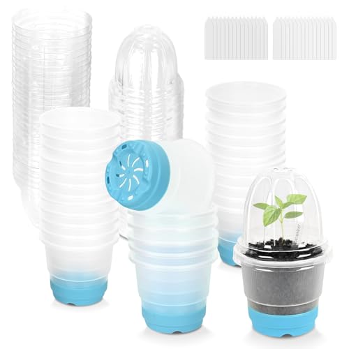 Sckee Clear Nursery Pots for Plants, 30 Packs Plastic Seed Starting Pots with Drainage Holes Plant Nursery Pots Silicone Base (Blue, 4 inch with lids) - color: Blue, size: 4 inch with lids