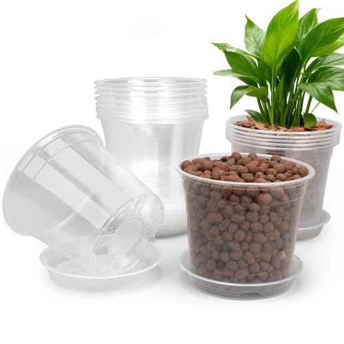 RAOOKIF 6 Inch Nursery Pots with Saucers, 15 Pack Clear Nursery Pots with Drainage Hole for Indoor Outdoor, Plastic Clear Pots for Plants for Flowers, Succulents, Small Herbs - size: 6 inch-15pcs
