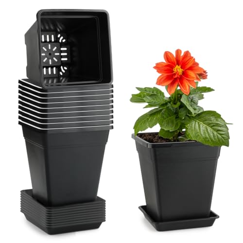 6 inch Plant Pots, 10 Pack Flower Pots Outdoor Indoor, Square Plastic Planter with Drainage Holes and Saucers, 0.5 Gallon Planter Pots for Plants Deep Capacity Garden Pot Container with Tray - size: 6 INCH / 10P