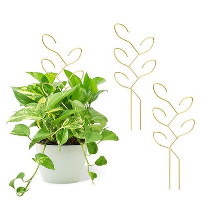 2Pcs Metal Leaf Shape Garden Trellis for Climbing Plant Indoor - color: A