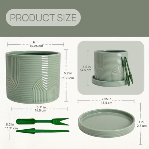 6 Inch Ceramic Plant Pot with Drainage Hole & Tray – Sage Green - color: Sage Green
