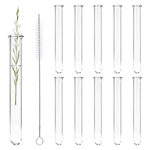 10 Pcs Glass Test Tubes for Plants, 18ml Clear Propagation Tubes with Brush, Round Bottom Testing Tube for Hydroponic Plants, Flowers, Home Office Wall Decor