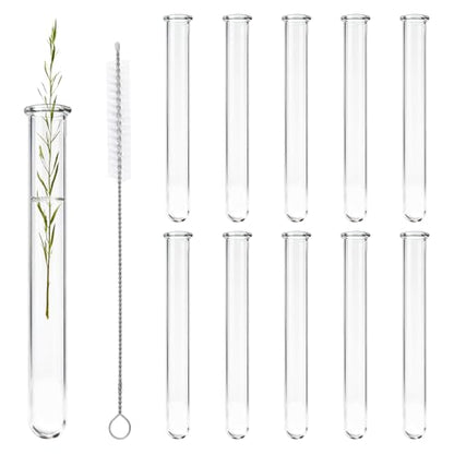 10 Pcs Glass Test Tubes for Plants, 18ml Clear Propagation Tubes with Brush, Round Bottom Testing Tube for Hydroponic Plants, Flowers, Home Office Wall Decor