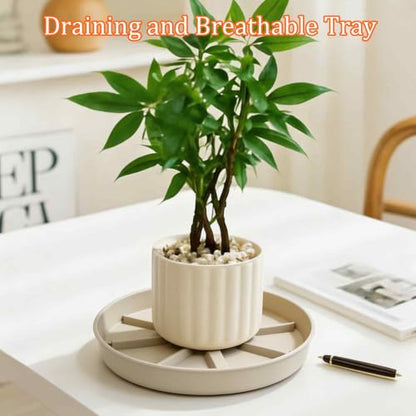 2Pcs 6 Inch Plant Saucer Drip Tray, Clear Plastic Flower Pot Saucers, Thicker Anti-Rot Root Water Catcher Tray for Indoor Outdoor Planters, Heavy Sturdy Pot Base Plate Beige - color: Beige