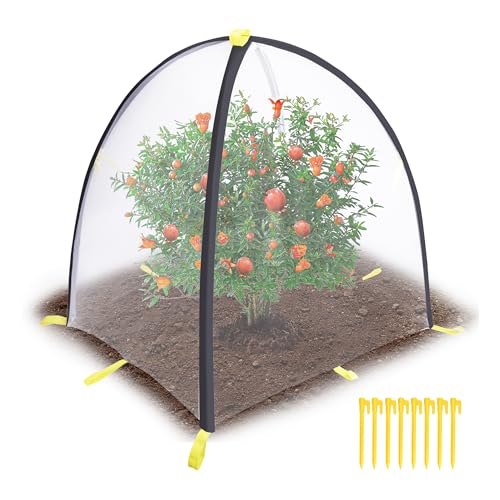 PURPLE STAR 1N 35 x35 x 39 Inch Insect Barrier Plant Tent Cover-Insect Bird Barrier Netting Mesh-Bug Guard Cover with Stakes for Protect Plants Fruits from Insect Bird Eating (1, L) - color: L