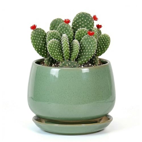 7.5 Inch Flower pots for Indoor Outdoor Plants with Saucer Drainage Leak-Proof Mesh, Ceramic Planter with Gardening Gloves for Succulent and Flower(Crackled Green) - color: Crackled Green, size: 7.5 Inch