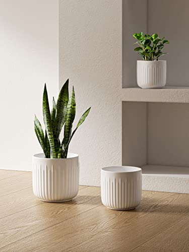 LE TAUCI Ceramic Planters, 8.3/7/6 Inch Indoor Pots for Plants with Drainage Holes & Mesh, Modern Matte Glaze Cylinder Fluted Plant Pot for Snake Plant, Set of 3, White - color: White