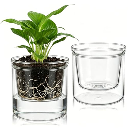 Tebery 2 Pcs Self Watering Pots for Indoor Plants, Clear Glass Plant Pots with Drainage Saucer, 3.75 Inch African Violet Planters for Houseplants Orchid Succulents, Ideal for Garden Home Decor