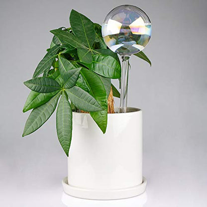 Tomorotec 2Pcs Rainbow Glass Plant Watering Globes, Self Watering Spikes - color: Iridescent 2-Pack
