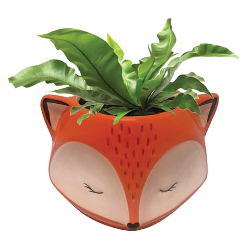 Streamline Imagined Ceramic Orange Fox Planter, Drainage Hole, Orange - color: Fox