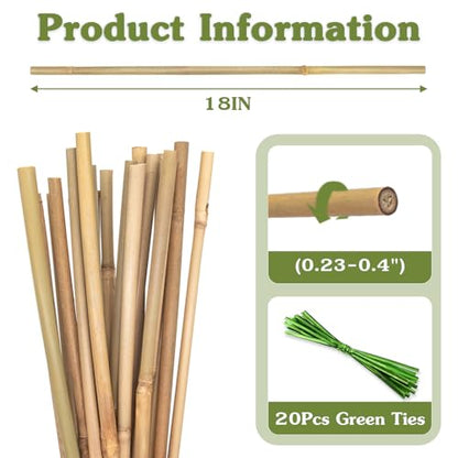 Plant Stakes 18inch, HAINANSTRY 20Pcs Natural Bamboo Sticks Garden Stakes - size: 18 inches, 20 pack
