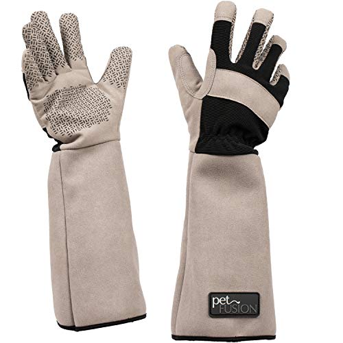 PetFusion Multipurpose Pet Glove for Grooming, Grey - size: Small
