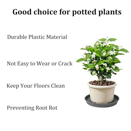 2Pcs 6 Inch Plant Saucer Drip Tray, Clear Plastic Flower Pot Saucers, Thicker Anti-Rot Root Water Catcher Tray for Indoor Outdoor Planters, Heavy Sturdy Pot Base Plate Grey - color: Gray